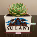 Aulani Planter inspired by Disneys Aulani Resort - Spring Disney Decor Hawaii Decor